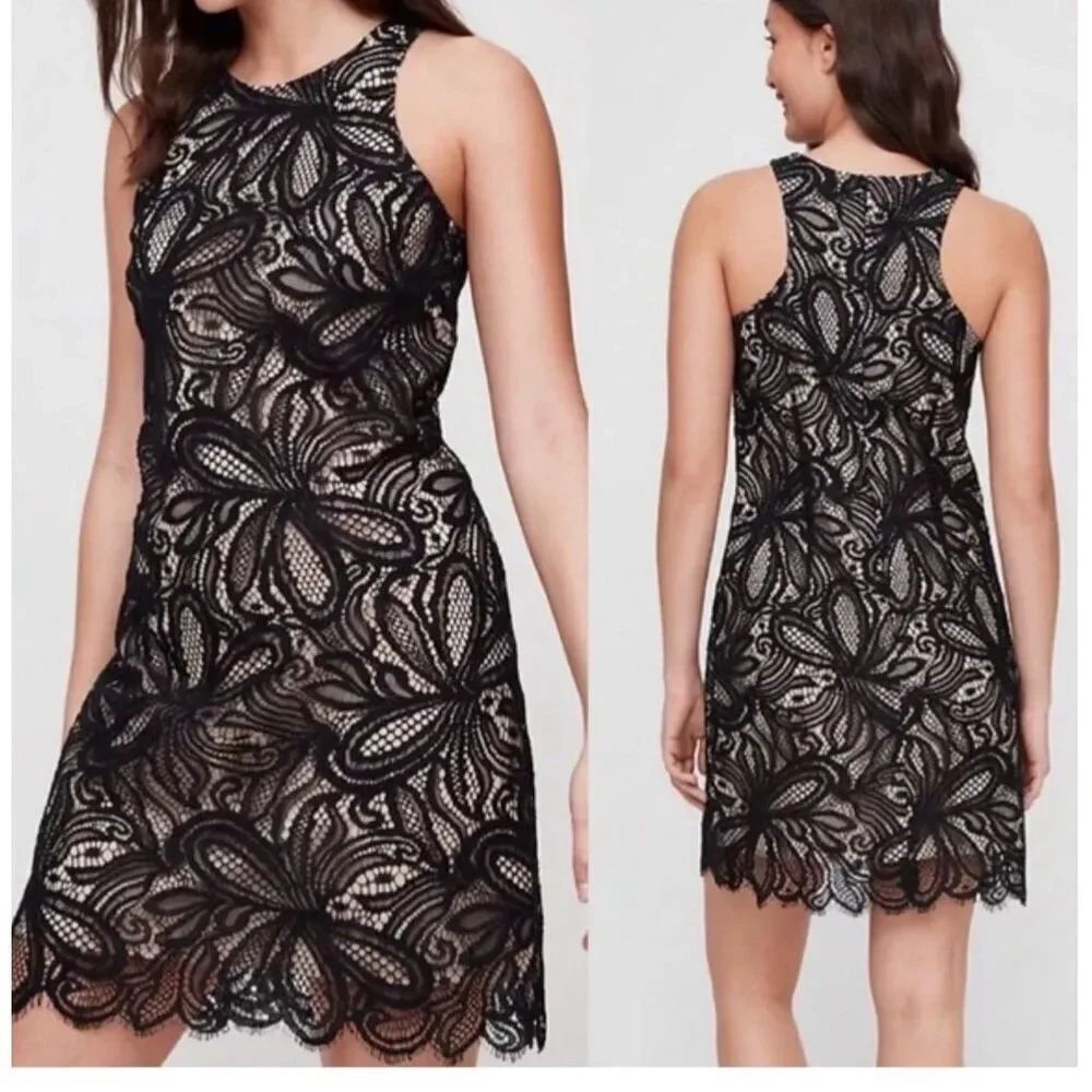 Babaton sleeveless lace dress size 6